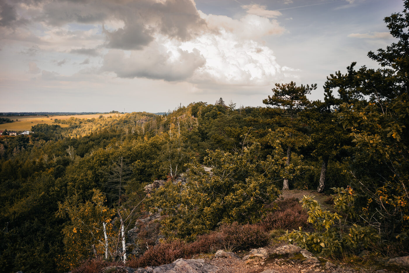 Podzimní výhled z Kozích hřbetů na Holý vrch