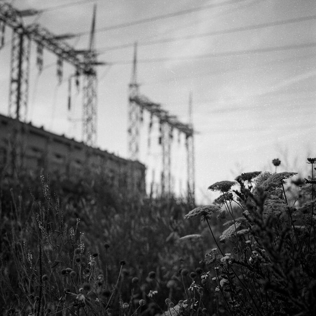 Analogová fotografie pořízená fotoaparátem Yashica mat 124g, 6x6, květiny a elektrická rozvodna v pozadí, místa mého města