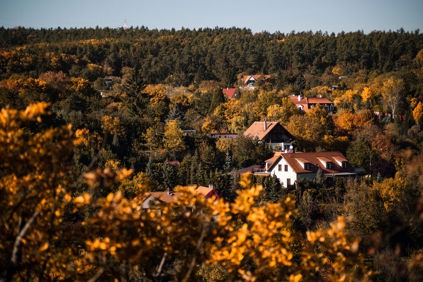 Podzimní les v Šáreckém údolí