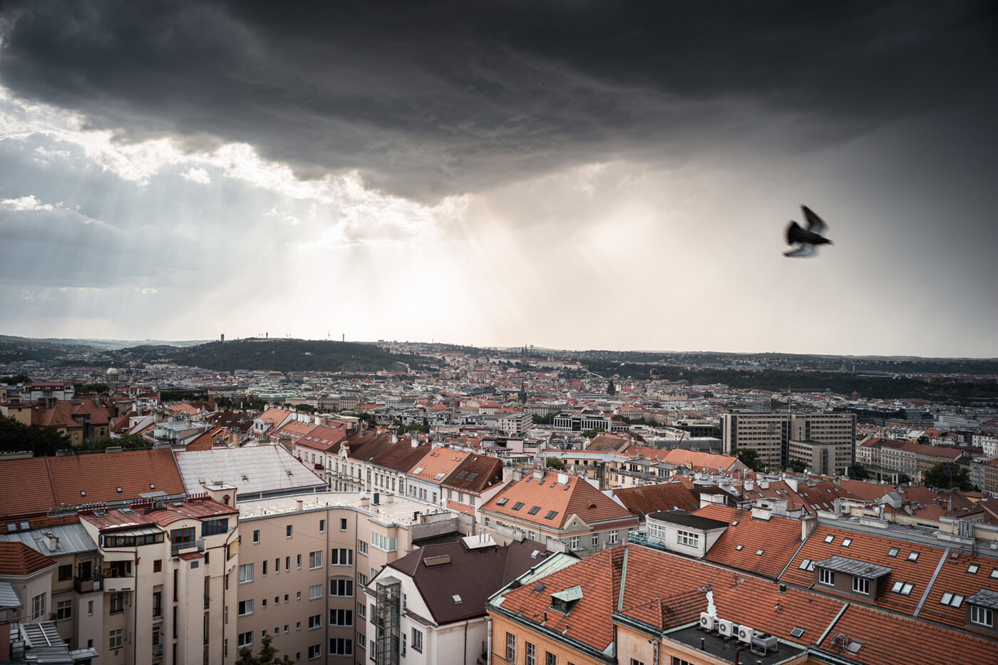 Meziměstská telegrafní a telefonní ústředna Žižkov.
Výhled z Městské telefonní ústředny ve Fibichově ulici. Praha v dešti.