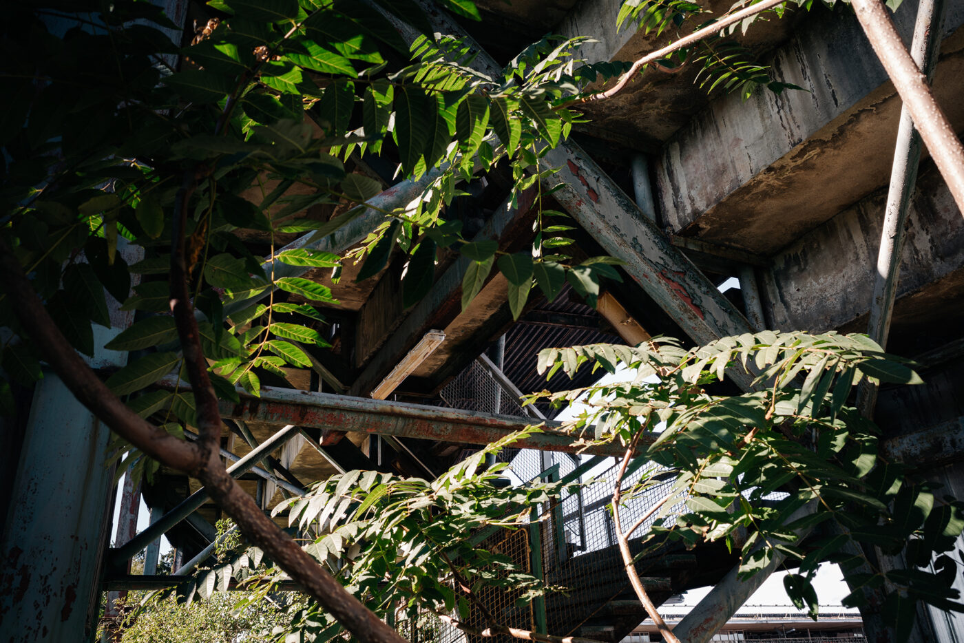 havarijní stav stadionu Evžena Rošického na Strahově