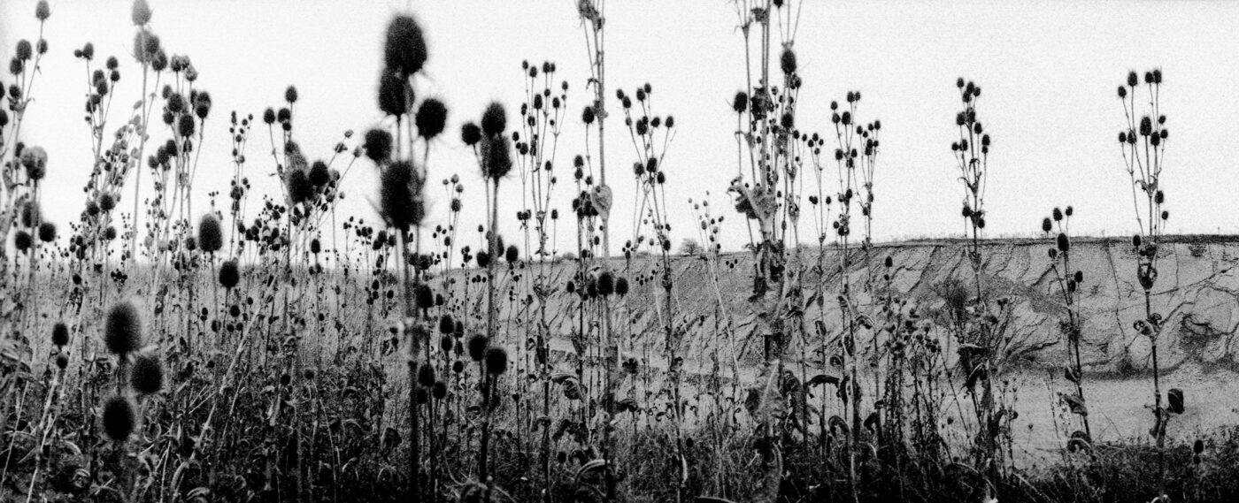 Analogová Panoramatická fotografie Prahy, Praha panoramatická, fotoaparátem Horizon 202, lom Hvížďalka Kosoř