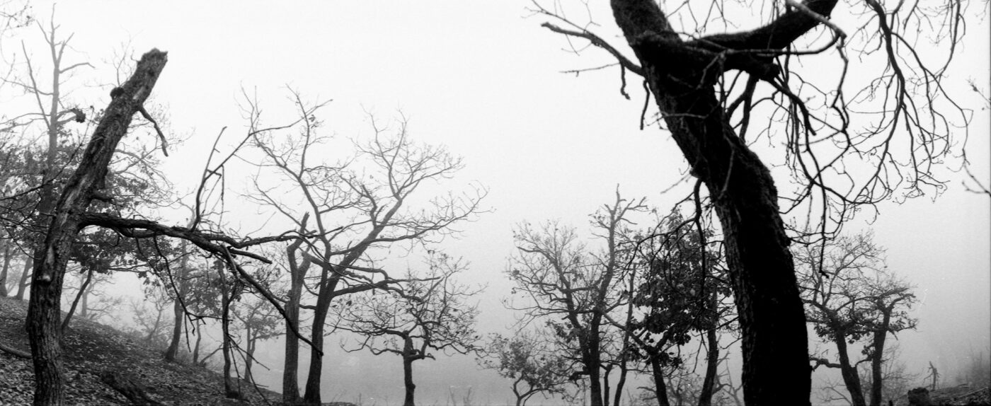 Analogová Panoramatická fotografie Prahy, Praha panoramatická, fotoaparátem Horizon 202, Báně, Daliborka