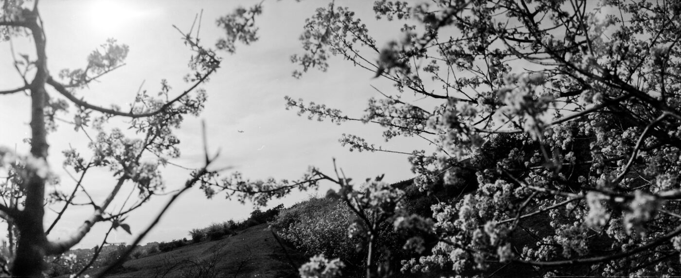 Analogová Panoramatická fotografie Prahy, Praha panoramatická, fotoaparátem Horizon 202, Dívčí Hrady